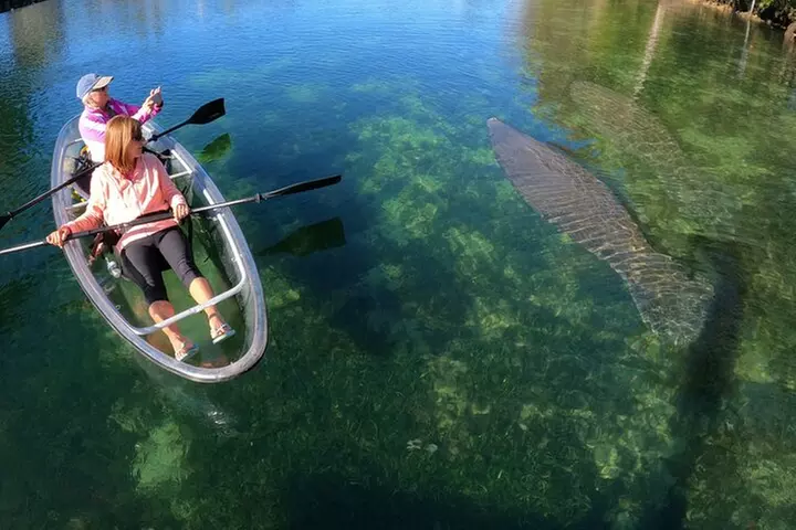 Clear Kayak Manatee Ecotour of Crystal River