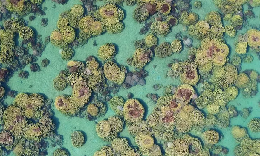 Image 3: Social Snorkel