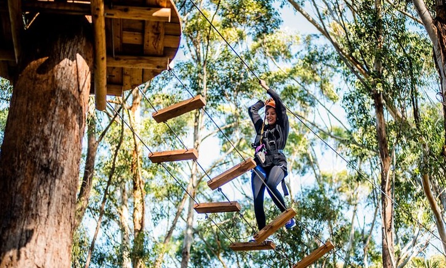 Image 3: Treetops Adventure Coffs Harbour Tree Ropes Course