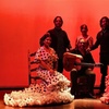 Image 9: Entrada al espectáculo flamenco en el Teatro Ayuntamiento de Barcelona