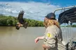 Spectacular Jumping Crocodile Cruise with Darwin Transfer Bus - Image 3