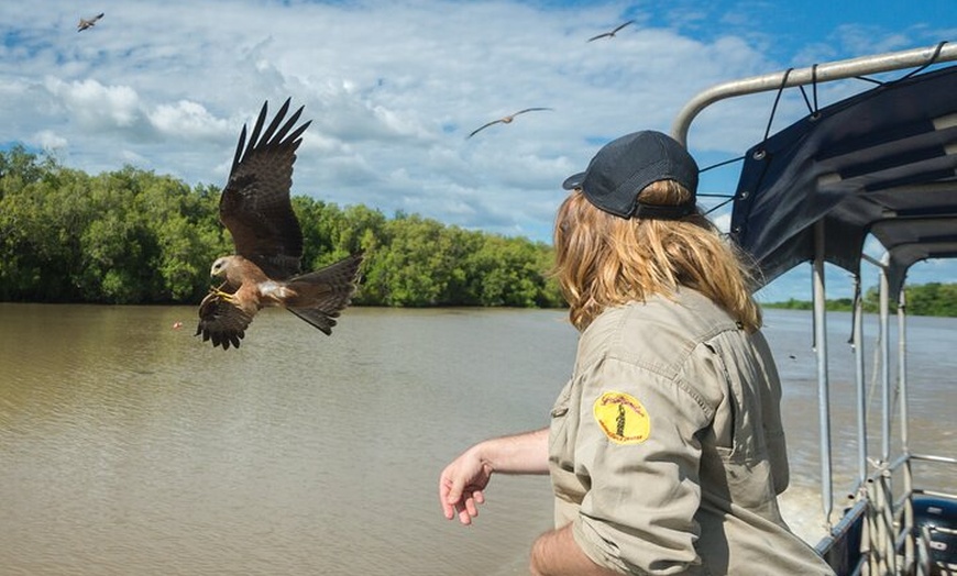 Image 3: Spectacular Jumping Crocodile Cruise with Darwin Transfer Bus