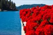 Twilight Rydables Guided Tours Evening Adventure in Coeur d'Alene - Second Medium