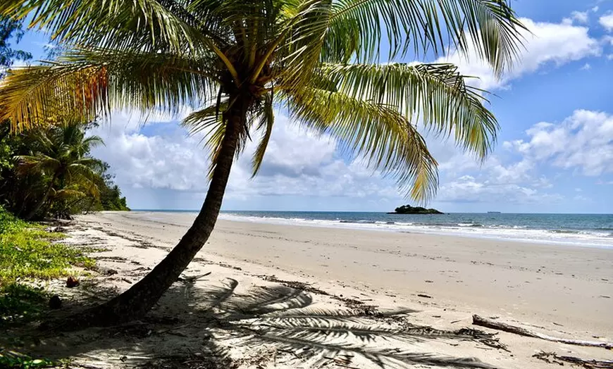Image 8: Cape Tribulation, Mossman Gorge, and Daintree Rainforest Day Trip