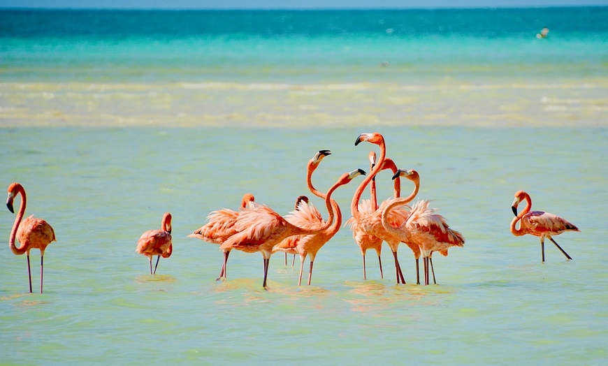 Image 28: ✈ MEXIQUE | Cancun - Âme du Yucatan, 13 nuit - Autotour