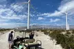 Palm Springs Windmill Guided Tour by Golf Cart - Image 2