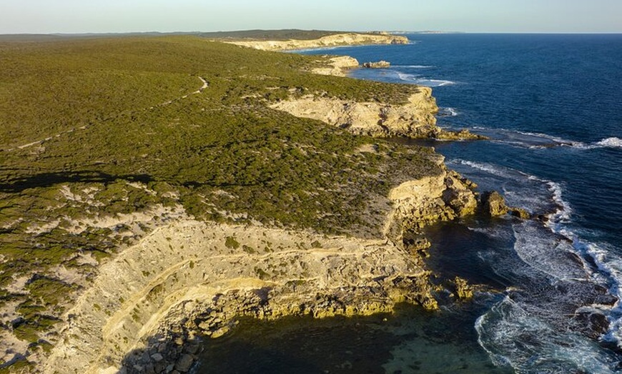 Image 5: Ultimate Buggy Tour in Kangaroo Island