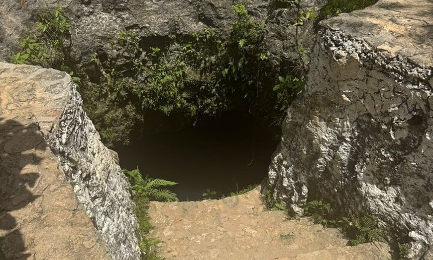 Image 24: Zipline ,ATV & Cenote Adventure in the Jungle Kingdom