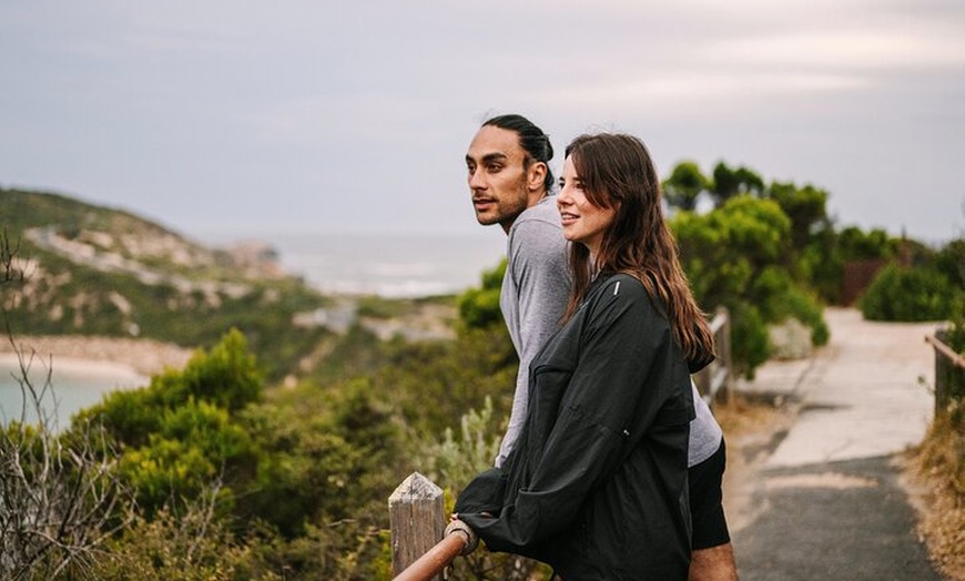 Image 13: Explore Mornington Wildlife Wine and Hot Springs