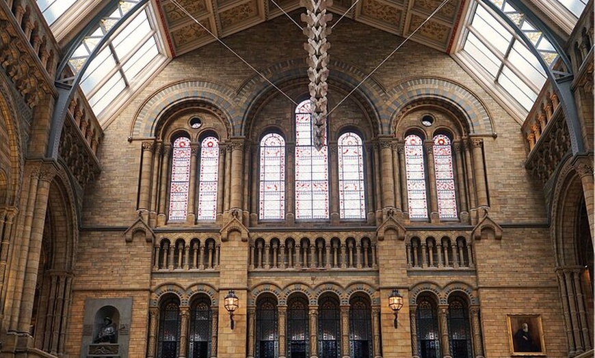 Image 5: Natural History Museum London Guaranteed Free Entry & Audio Tour