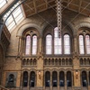 Image 5: Natural History Museum London Guaranteed Free Entry & Audio Tour