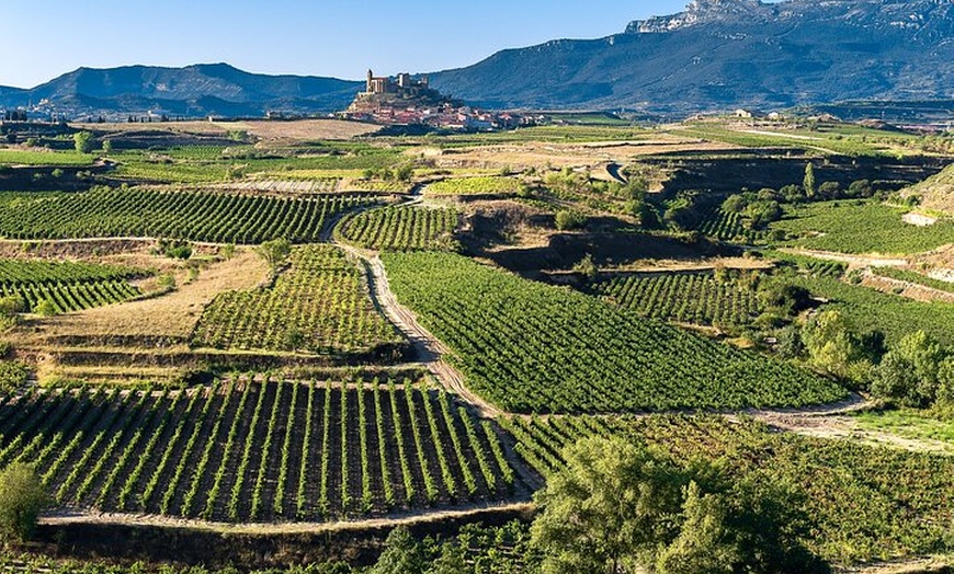 Image 9: Excursión a Logroño y Laguardia con visita a bodega desde Vitoria