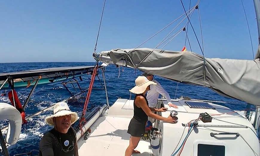 Image 2: Excursiones ecológicas en Catamarán en Gran Canaria