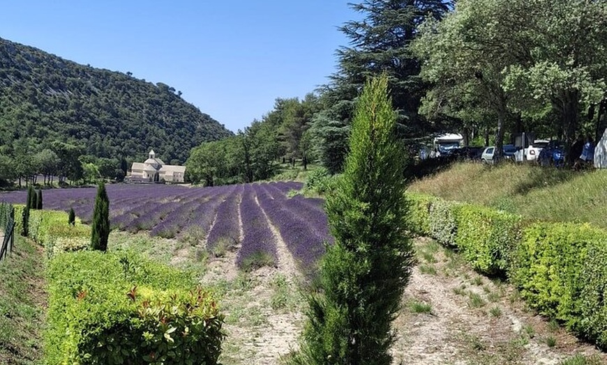 Image 3: Élégance provençale Huile d'olive de lavande et pistache