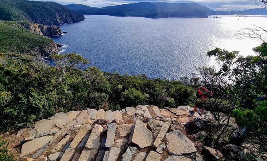 Image 19: Hobart: Cape Hauy Adventure Hike - rugged cliffs & wild beauty