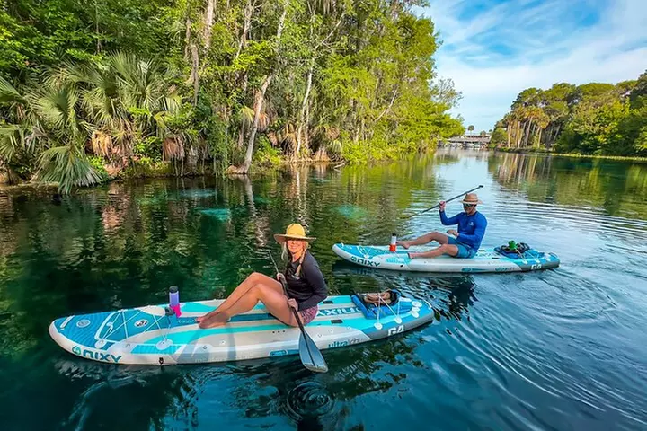 Silver Springs Manatee & Monkeys Paddle Board Tour