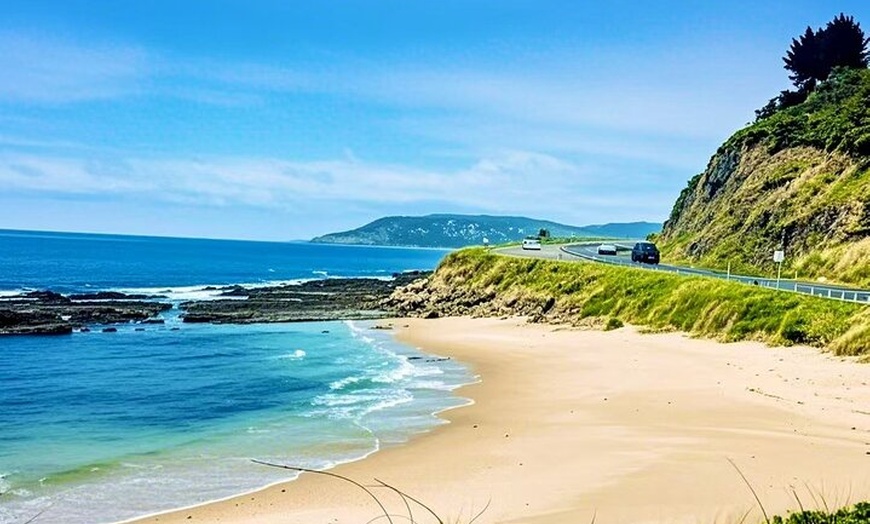 Image 4: Melbourne Great Ocean Road Mercedes Mini Bus & Luxury Coach Tour