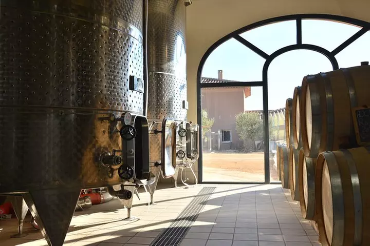 Visite et Dégustation des Vins en AOC Palette - Primary Image