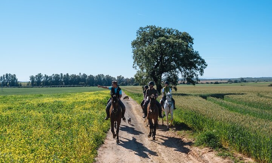Image 10: Paseos a caballo por el Parque Nacional de Doñana