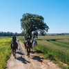 Image 10: Paseos a caballo por el Parque Nacional de Doñana