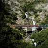 Image 8: Cairns: Waterfall, Wetlands & Kuranda Scenic Rail All Inclusive