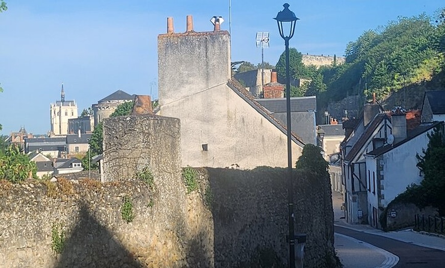 Image 9: Découvrez Amboise dans les pas de Léonard de Vinci