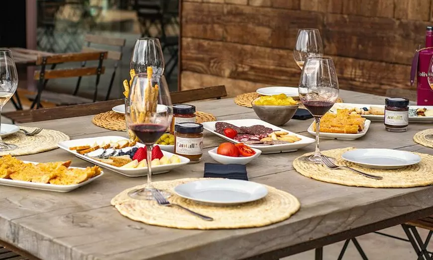 Image 4: Paseo entre viñas y cata de vinos en el Empordà