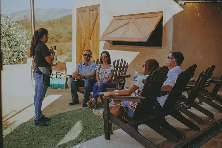 Xecue Wine Tasting in the Guadalupe Valley - Primary Image