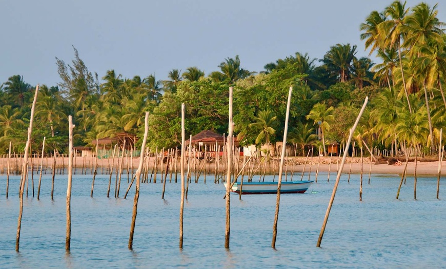 Image 20: ✈ BRÉSIL | De Rio à Salvador de Bahia - Brésil : entre Nature et Cu...