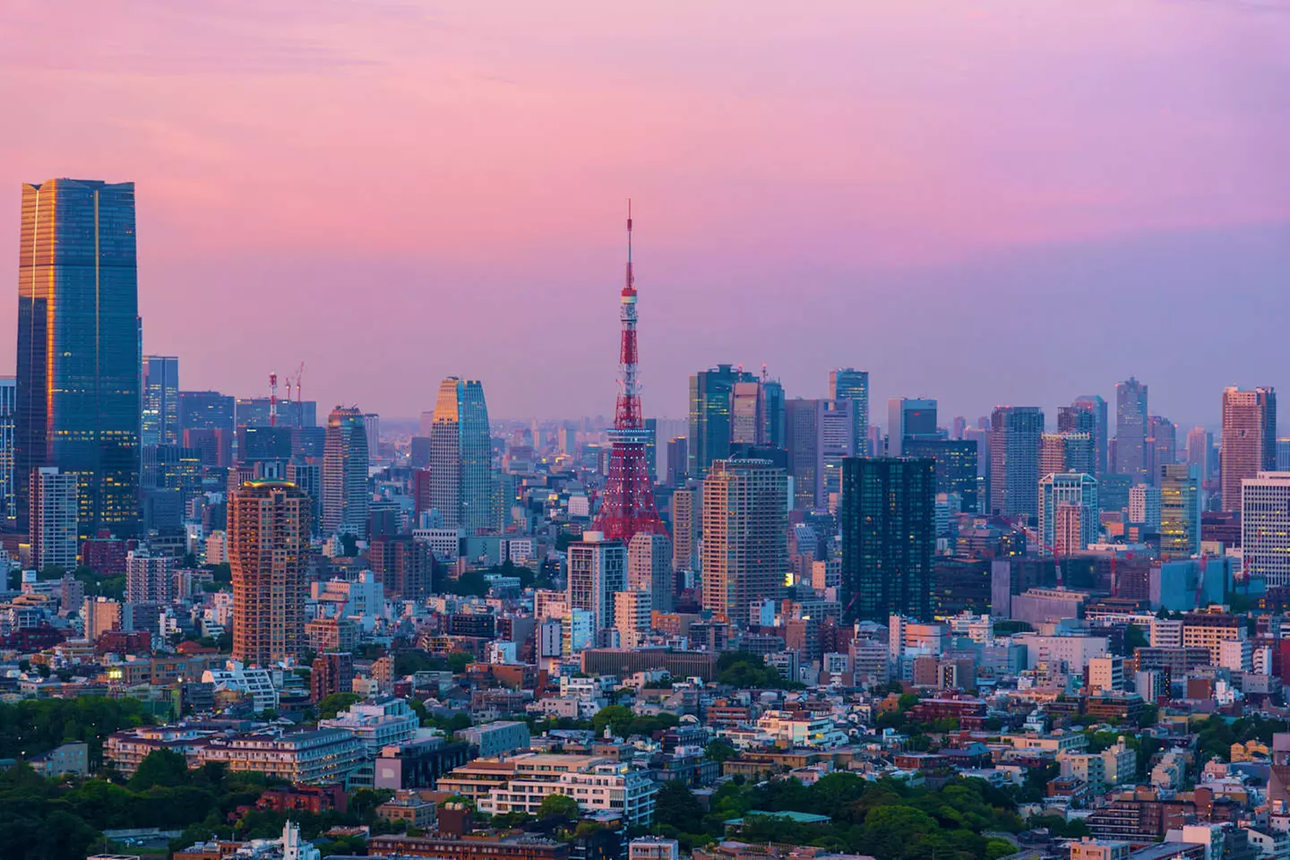 ✈ GIAPPONE | Da Tokyo a Osaka - Paradiso Giapponese: Tokyo, Kyoto, ...