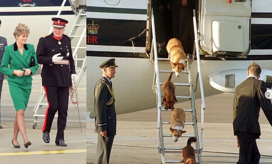 Image 17: Duxford IWM Air Museum Private Day Trip With Easy London Pickup