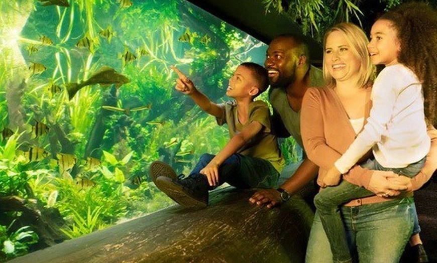 Image 4: Tickets to see SEA LIFE London Standard Entry + Behind The Scene Tour