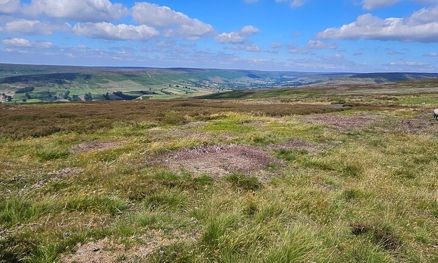 Image 7: North York Moors Private Tour day trip to Whitby & Villages
