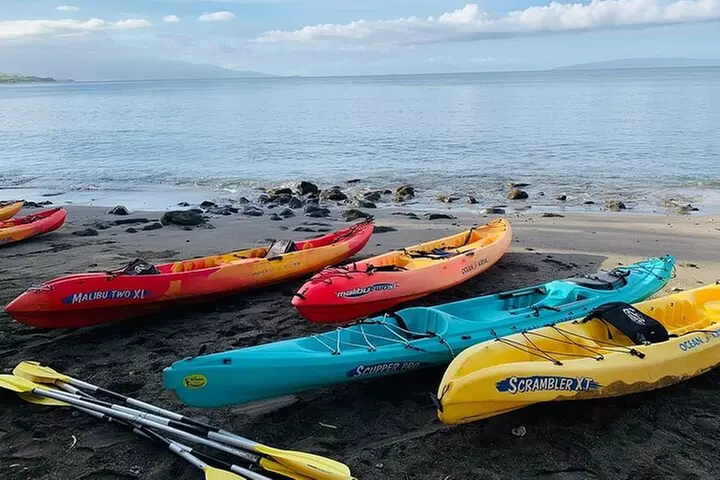 Kayak and Snorkel: Maui West Shore