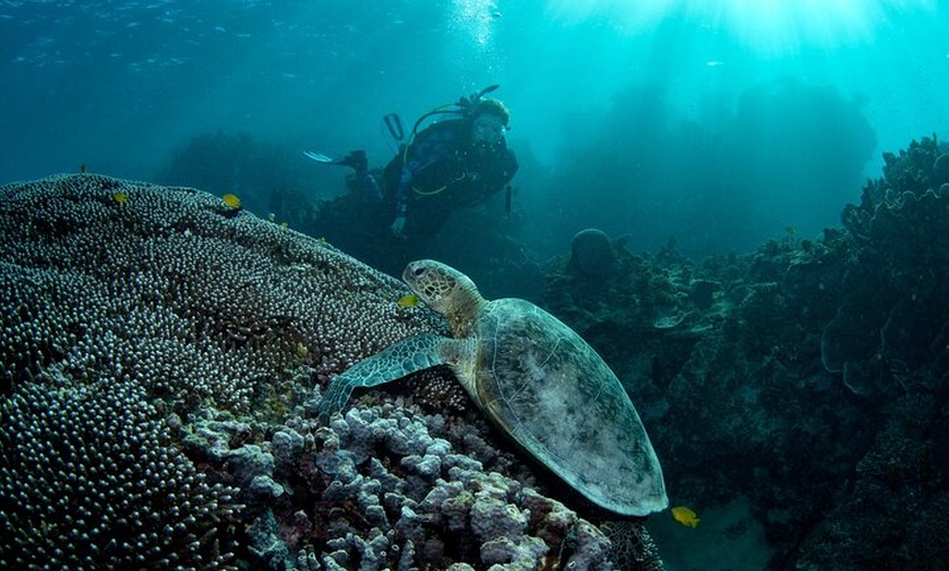 Image 8: 5 Night Ningaloo Reef Ningaloo Escape from Coral Bay