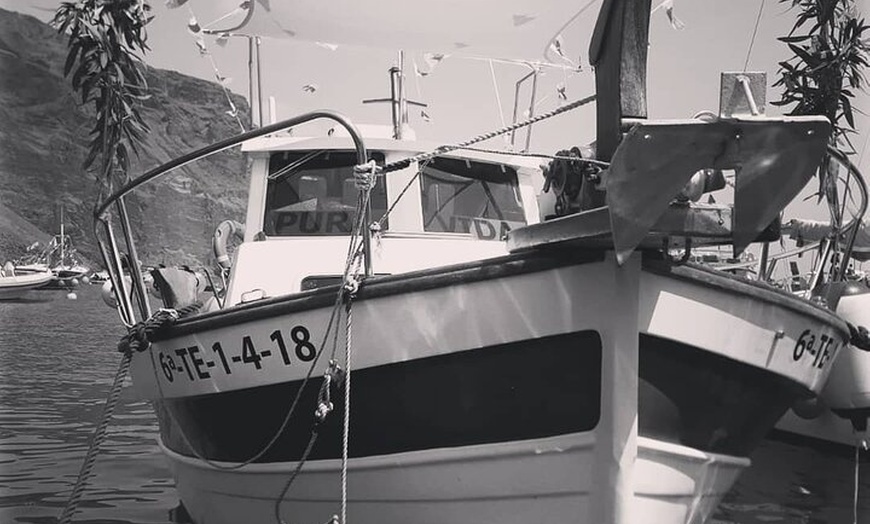 Image 5: Tour Avistamiento Ballenas y Delfines en Barco de grupo reducido