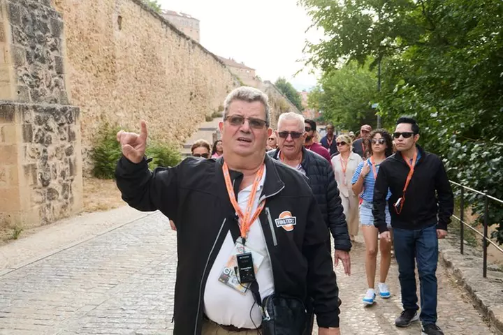 Madrid a Ávila & Segovia : Tour de día completo por los puntos culm...