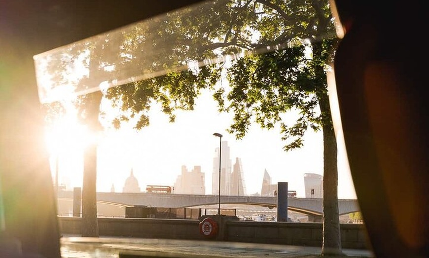 Image 8: Ultimate London Tour - iconic London Taxi Tour