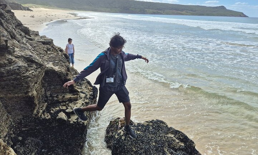 Image 6: Hobart: Bruny Island Adventure: Hiking, Highlights & Local tastes