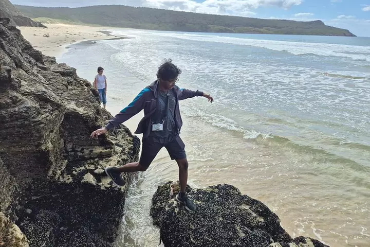 Hobart: Bruny Island Adventure: Hiking, Highlights & Local tastes