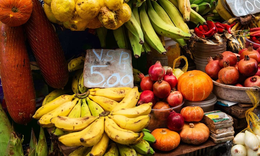 Image 15: ✈ BRÉSIL | De Rio à Salvador de Bahia - Brésil : entre Nature et Cu...