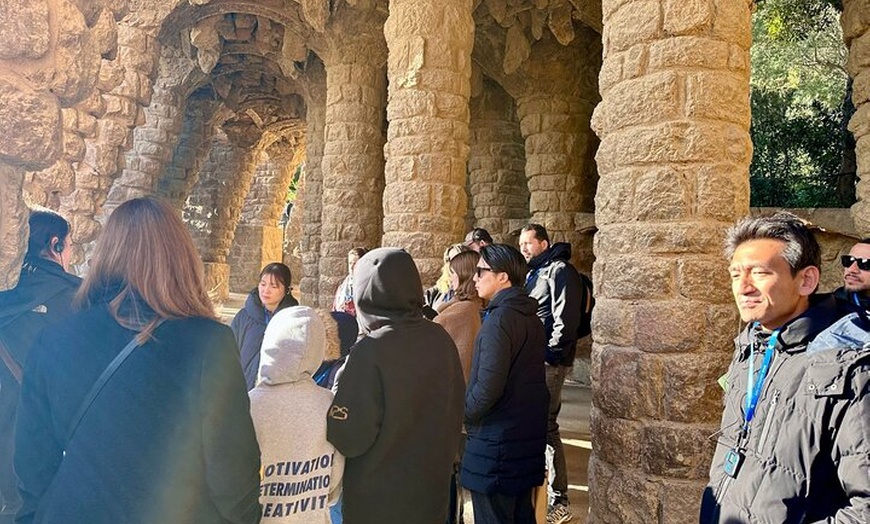 Image 8: Exclusiva visita guiada por Park Guell con acceso rápido