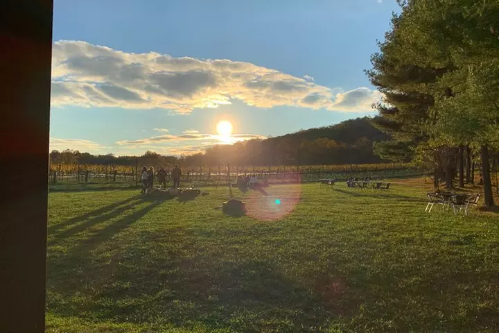 Private Loudoun County Wine Tour from DC with Stops at 3 Wineries