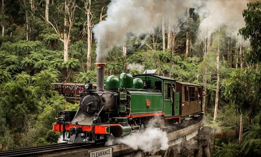 Image 5: Private Puffing Billy Steam Train and Healesville Sanctuary Tours