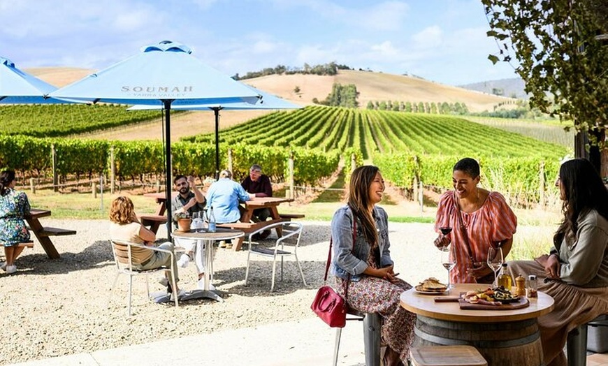 Image 2: Small Group Yarra Valley: Redwoods Forest & Premium Wine Tour