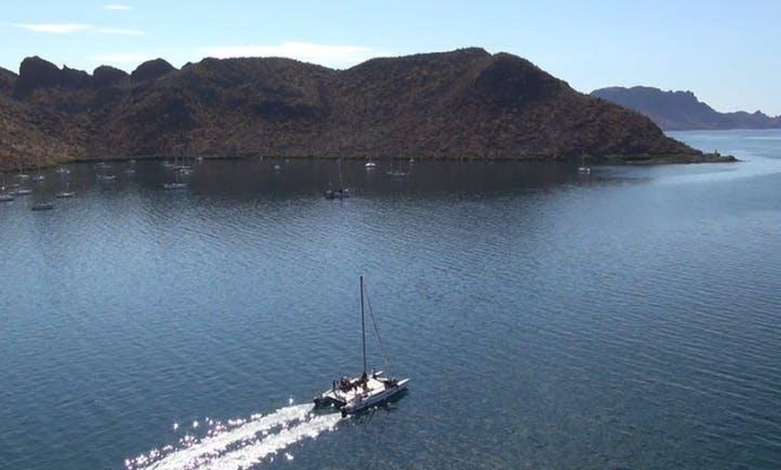 Image 4: Sunset Appetizers & Open Bar Catamaran Cruise