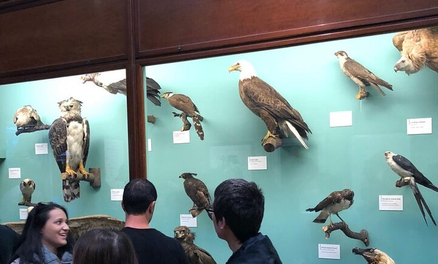 Image 46: London Walking Tour VIP