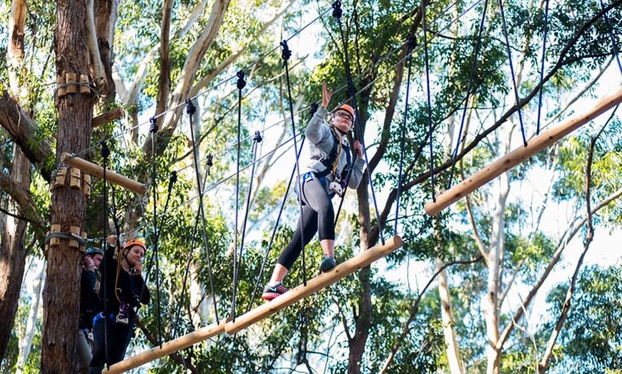 Image 2: Treetops Adventure Coffs Harbour Tree Ropes Course