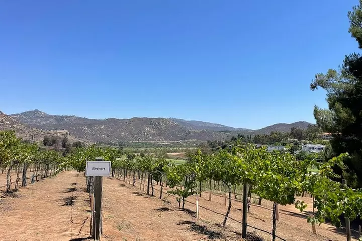 San Diego County Wine Tour (Private)