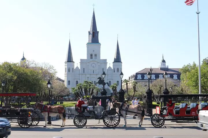 New Orleans City and Cemetery 2-Hour Bus Tour